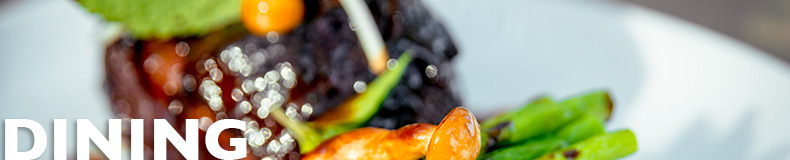 Masthead-subpage-image_dining
